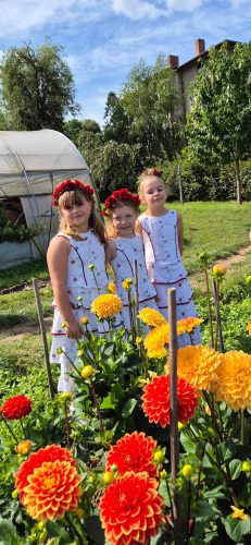 026-Dahlienfest Leonie-Voigt 07-09-2025