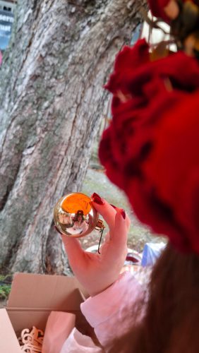 001-Dornburger-Adventsmarkt Leonie-Voigt 30-11-2025