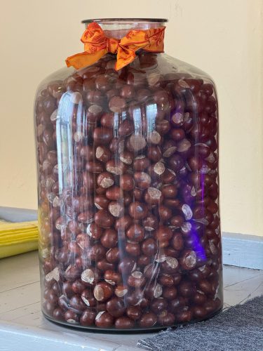 011-Kastanienfest-Gillersdorf Leonie-Voigt 5-10-2025