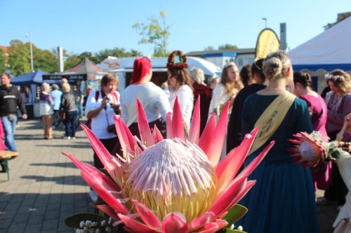 002-Koeniginnen-Tag-Stassfurt Leonie-Voigt 28-09-2025