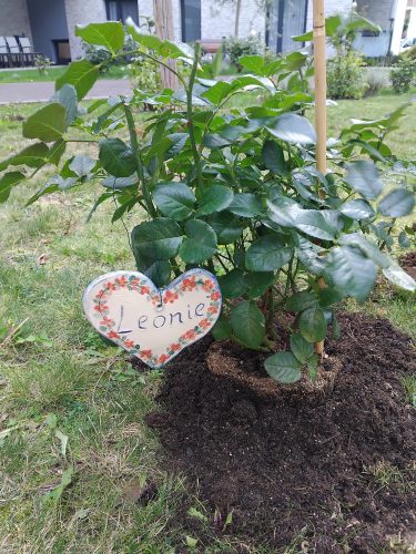 012-Rosepark-Jena Leonie-Voigt 24-09-2025