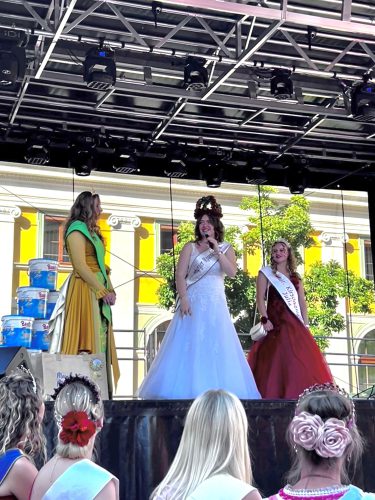 017-Senfwochen-Bautzen Leonie-Voigt 31-08-2025