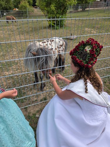 004 Clingen Rianna-Edelhof 2026-07-19
