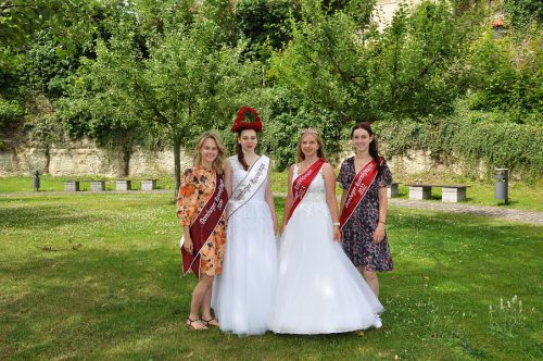 (c)www.kaiser-wieckenberg.de