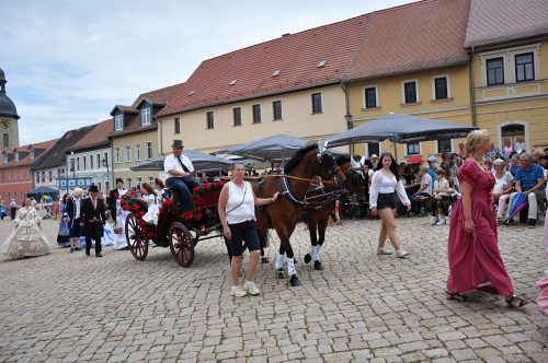 (c)www.kaiser-wieckenberg.de