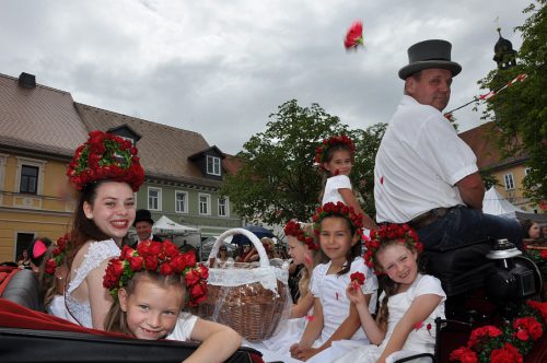 (c)www.kaiser-wieckenberg.de